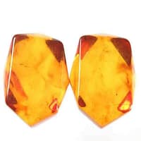 Baltic Amber 1
