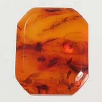 Baltic Amber 4