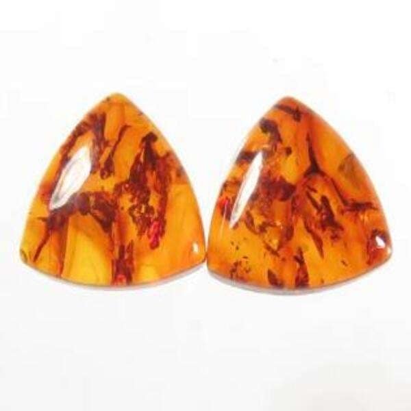 Baltic Amber 5